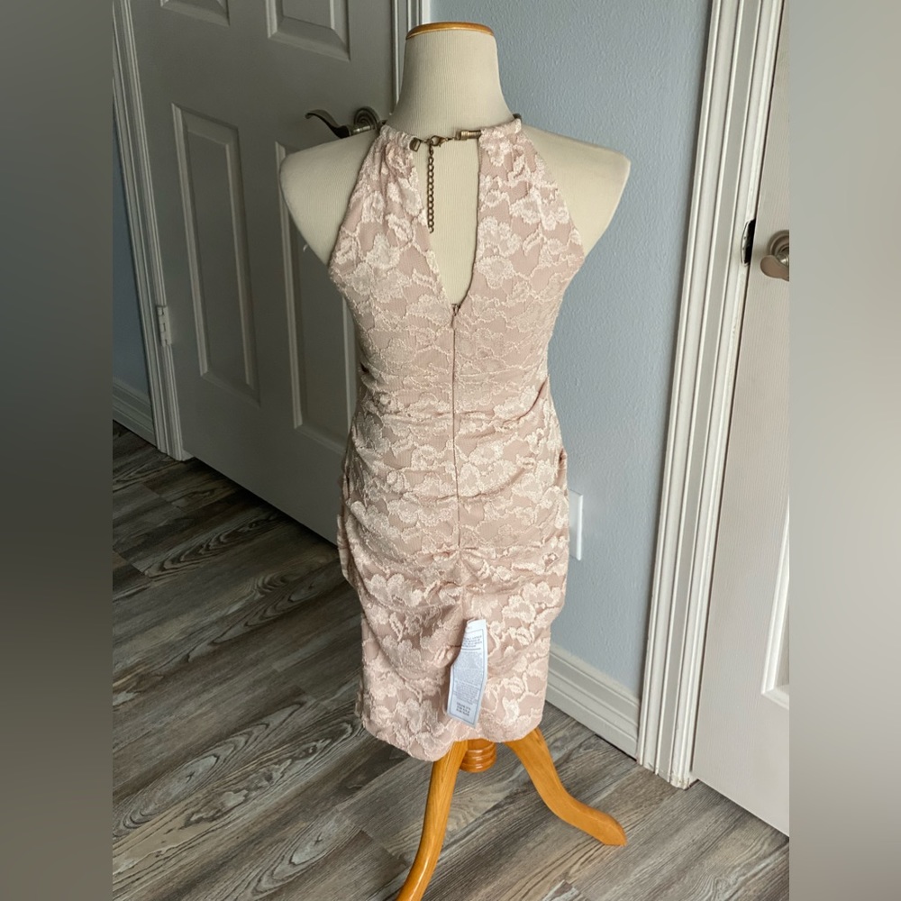 Cache Lace Dress - Picture 4 of 6